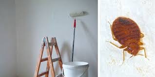 Bed Bugs In Walls Will Painting Help