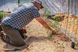 How To Keep Weeds Out Of The Garden