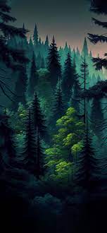 coniferous green forest wallpapers