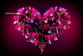 fuchsia flowers valentines heart love