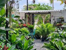 7 best places to plants in miami