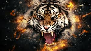 Check spelling or type a new query. Dark Evil Horror Spooky Creepy Tiger Wallpaper 1920x1080 803944 Wallpaperup