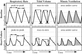 tidal volume and minute ventilation