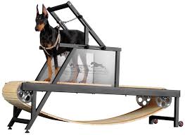 see dog treadmill for large dogs