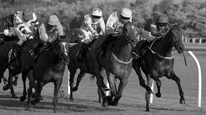 Devenir propriétaire d'un cheval de course
