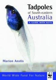 Tadpoles Of South Eastern Australia A Guide With Keys By