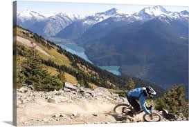 Mountain Biker Riding On Alpine Trail