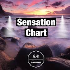 Sensation Chart Tracks On Beatport