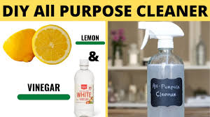 homemade all purpose cleaner with