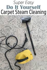 using a carpet steamer to get your home