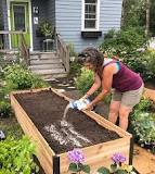 what-is-the-best-soil-mix-for-vegetable-gardens