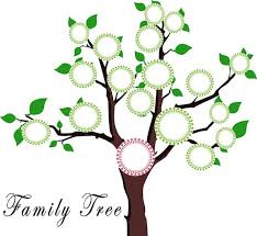 Fill out your printables and place in the page protectors. 8 Best Family Tree Software For Mac Of 2021