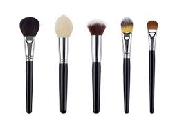 makeup brush images browse 788 842