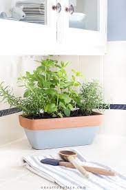 Small Herb Garden For The Kitchen On