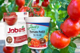 7 best tomato fertilizers tomato food