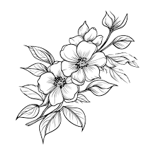 flower drawing images free