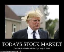 Only when the market is extremely out of whack, say 2x or maybe more, do fundamental investors or insiders come in and force them to change the price to reality. 22 Funny Pictures From The Stock Market Trademetria