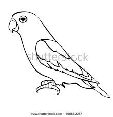 Burung cinta atau yang sering dikenal dengan burung lovebird ini adalah jenis burung kicau yang memiliki. 20 Inspirasi Sketsa Gambar Burung Lovebird Tea And Lead