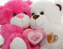 cute doll teddy bear valentine