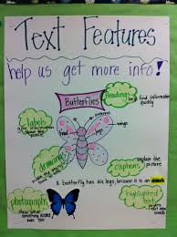 Text Features Anchor Chart Love This Especially Since