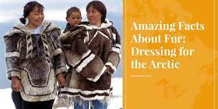 Amazing Facts About Fur Dressing For