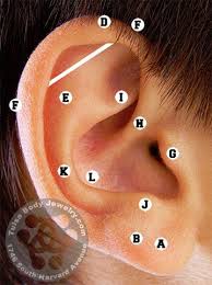 Ear Piercing Guide Chart Tulsa Body Jewelry