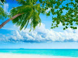 tropical beach resorts ultra hd desktop