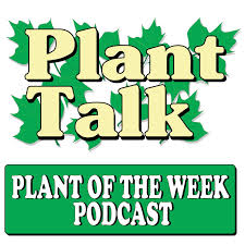 Plant Of The Week