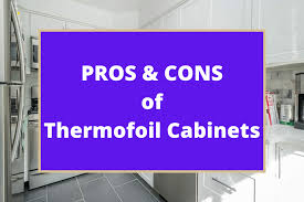 theril cabinets the pros and cons