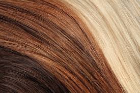 L'apparition des cheveux blancs est souvent redoutée, surtout chez les femmes. La Coloration Vegetale Comment Ca Marche Greenweez Magazine