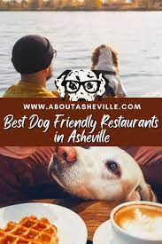 dog friendly restaurants in asheville