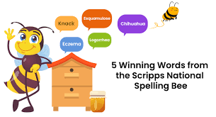 scripps national spelling bee