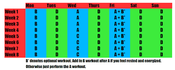 8 week beginner home workout the