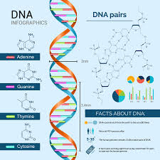 a guide to dna tests sequencing com