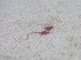 remove red wine stains from carpet