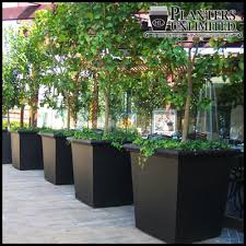 Planters come equipped with a removable shelf set 14 below the rim of the planter, this provides the user the versatility of filling the planter with soil or using an interchangeable plant insert. 4 Multi Functional Ways To Use Planters In Commercial Design Planters Unlimited Blog