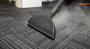 carpet and upholstery cleaning services