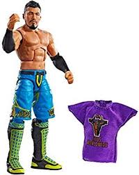 Capture the blowout action of wwe superstars with this elite collection action figure! Amazon Com Wwe Akira Tozawa Elite Fan Central Action Figure Gateway Wwe Action Figures Wwe Figures