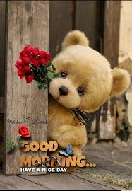 teddy bear with roses good morning