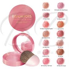 bourjois little round pot blush blusher