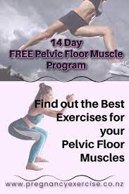 pelvic floor muscle 14 day free program