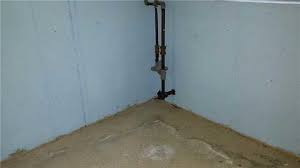 mold resistant basement wall panels in