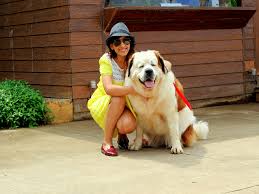 25 best pet friendly hotels in india