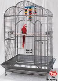 Minimum Parrot Cage Sizes By Types Species Discount Parrot