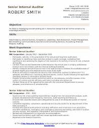 senior internal auditor resume samples