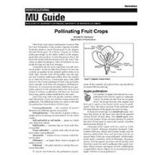 Pollinating Fruit Crops Mu Extension