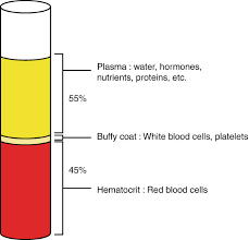 composition of blood springerlink
