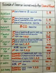 40 Up To Date Baby Immunizations Chart