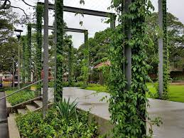 Contemporary Garden Structures
