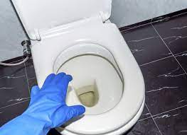 human urine stains from a toilet seat